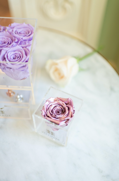 Valentine Everlasting Single Rose