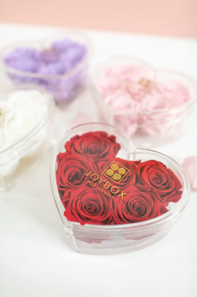 Valentine Everlasting Heart
