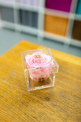 Everlasting Single Rose- Acrylic Box (choose color)