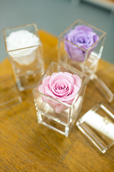 Everlasting Single Rose- Acrylic Box  with drawer (choose color)