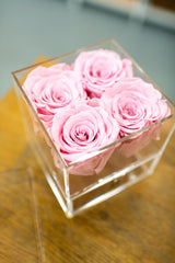 Everlasting Roses- 4 Rose (choose color)