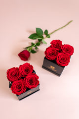 Everlasting Rose Mini Luxe Box- Black