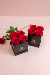 Everlasting Rose Mini Luxe Box- Black