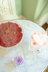 Everlasting 15 Rose Round box with drawer (choose color)