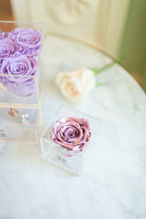 Everlasting Single Rose- Acrylic Box (choose color)